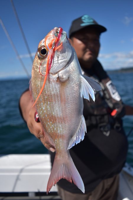 渡船屋たにぐち 釣果