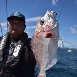 渡船屋たにぐち 釣果
