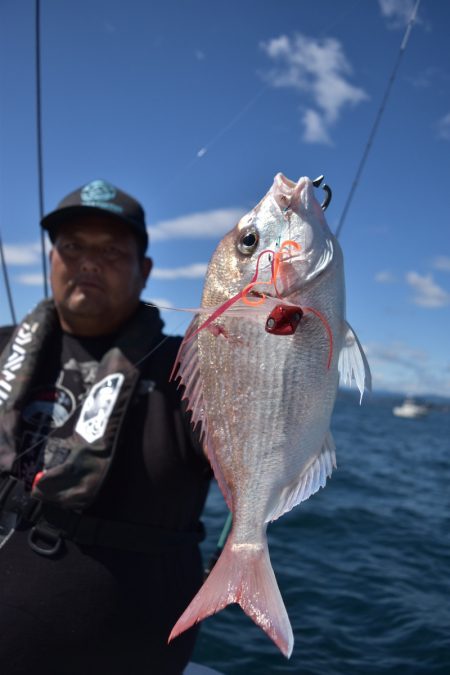 渡船屋たにぐち 釣果