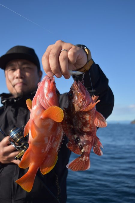 渡船屋たにぐち 釣果
