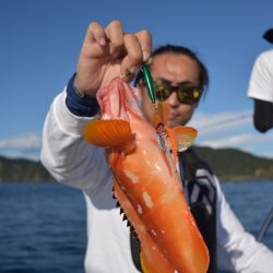 渡船屋たにぐち 釣果
