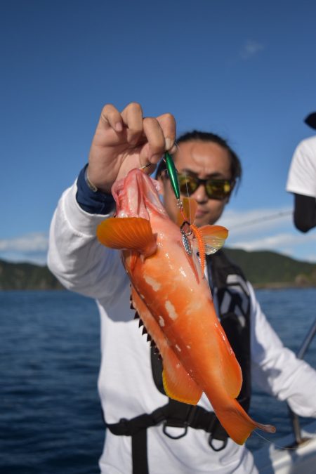 渡船屋たにぐち 釣果