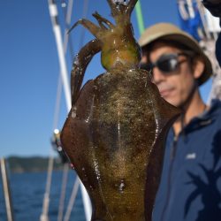 渡船屋たにぐち 釣果
