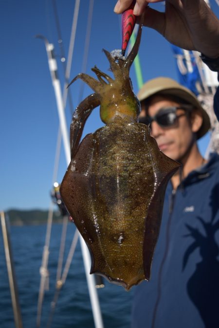 渡船屋たにぐち 釣果