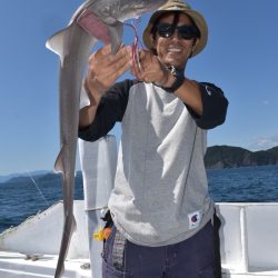 渡船屋たにぐち 釣果