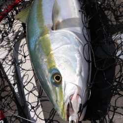 浜栄丸 釣果