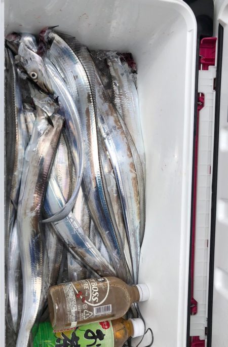 フィッシング キッタカ 釣果