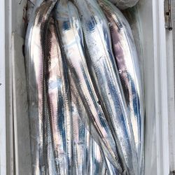 フィッシング　キッタカ 釣果