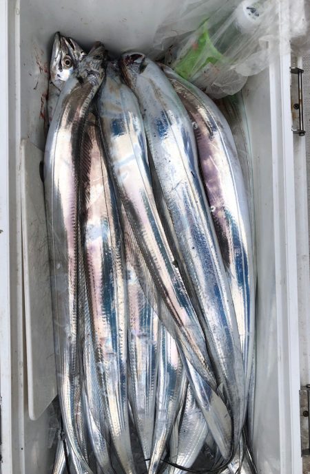 フィッシング　キッタカ 釣果