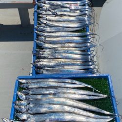 釣人家 釣果