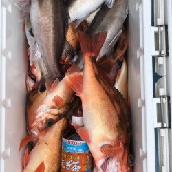 第二八坂丸 釣果