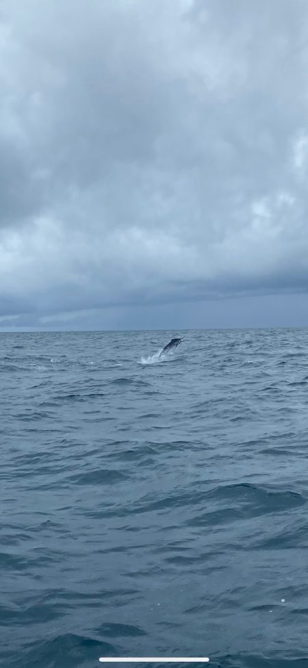 Monster Rush! 釣果