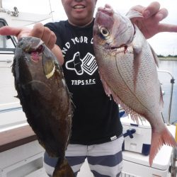 ＪＤＩ　Ｒａｃｉｎｇ　シールズマリンレジャー 釣果