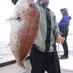 ＪＤＩ　Ｒａｃｉｎｇ　シールズマリンレジャー 釣果