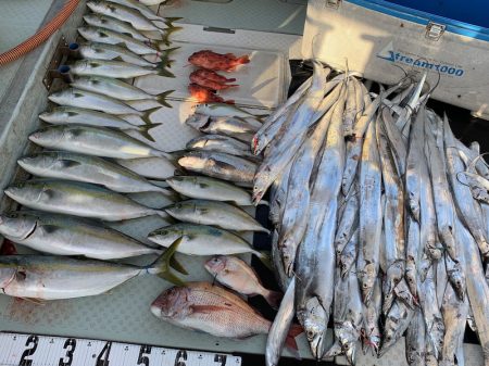 オーシャンスター(Ocean Star) …