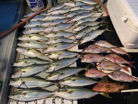 オーシャンスター(Ocean Star) …