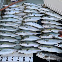 オーシャンスター(Ocean Star) 釣果