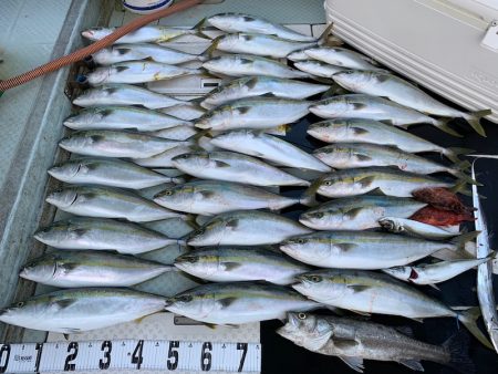 オーシャンスター(Ocean Star) …