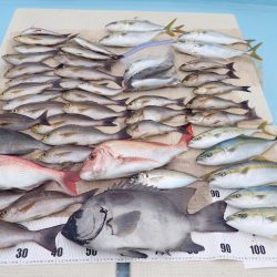 水天丸 釣果
