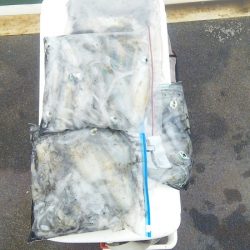 マリンガイド福丸 釣果