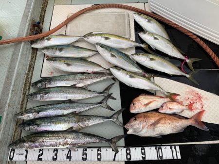 オーシャンスター(Ocean Star) …