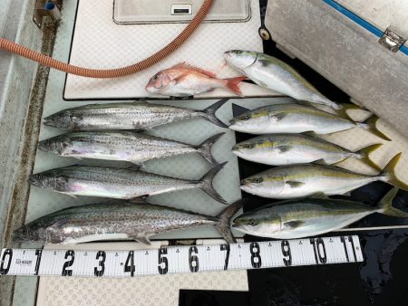 オーシャンスター(Ocean Star) …