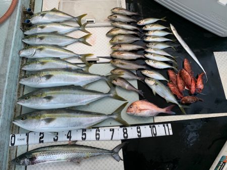 オーシャンスター(Ocean Star) …