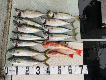 オーシャンスター(Ocean Star) …