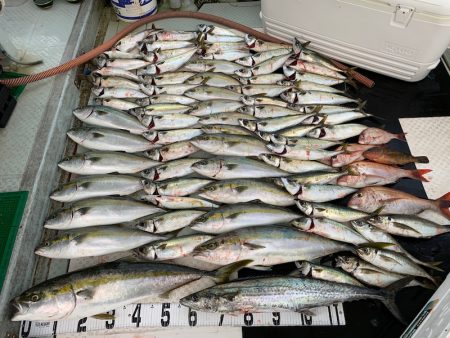 オーシャンスター(Ocean Star) …