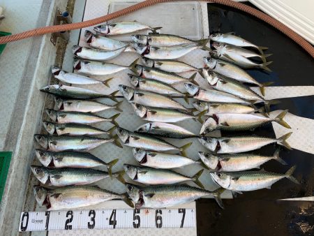 オーシャンスター(Ocean Star) …