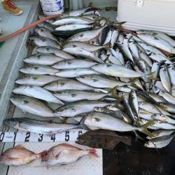 オーシャンスター(Ocean Star) 釣果