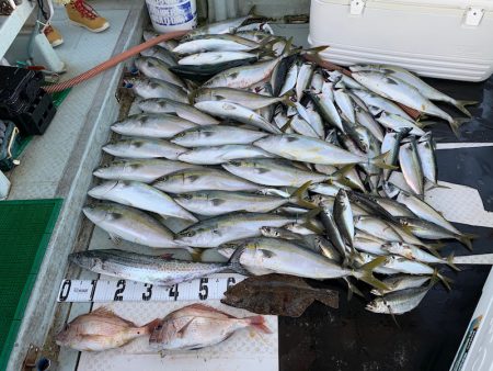 オーシャンスター(Ocean Star) …