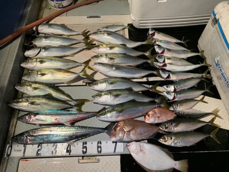 オーシャンスター(Ocean Star) …