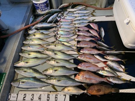 オーシャンスター(Ocean Star) …