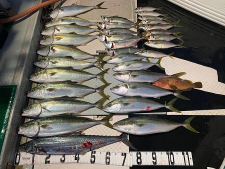 オーシャンスター(Ocean Star) …