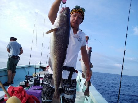 ひな丸 釣果