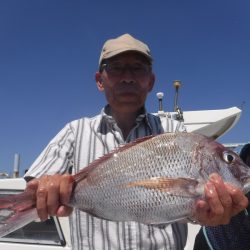 JDI Racing シールズマリンレジャー 釣果