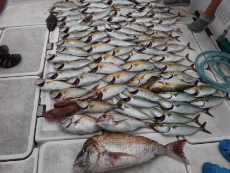 ＪＤＩ　Ｒａｃｉｎｇ　シールズマリンレジャ…