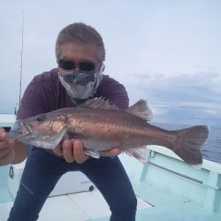 ひな丸 釣果
