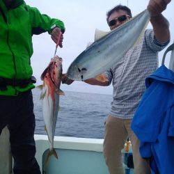 ひな丸 釣果