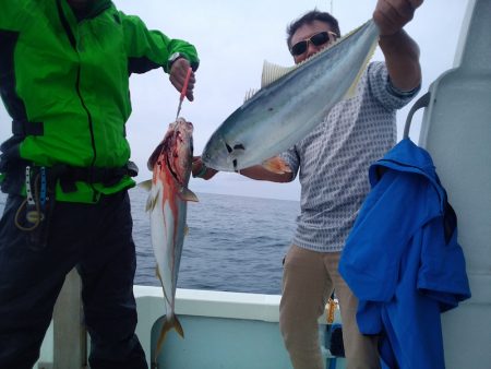 ひな丸 釣果