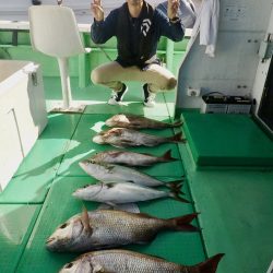 べっぷ丸 釣果