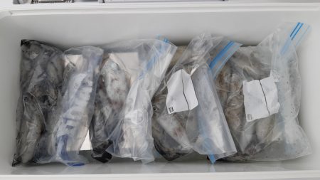 KIM Fishing Guide Ser…