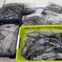 KIM Fishing Guide Service 釣果