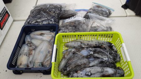 KIM Fishing Guide Service 釣果