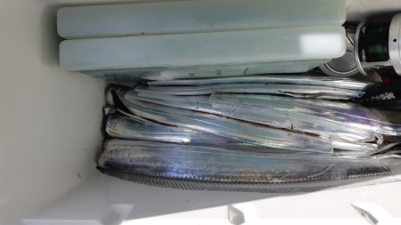 KIM Fishing Guide Service 釣果