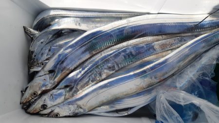 KIM Fishing Guide Ser…