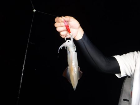 BlueNote Fishing Taxi 釣果