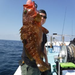 BlueNote Fishing Taxi 釣果