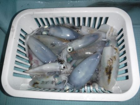 BlueNote Fishing Taxi 釣果